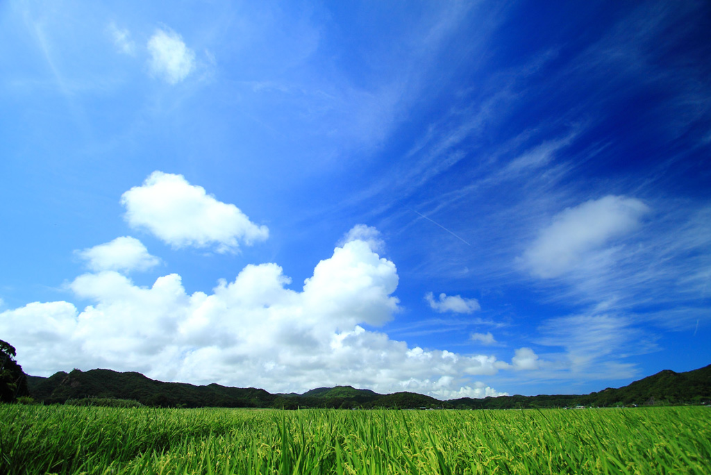 2015夏期　夏季休暇のお知らせ