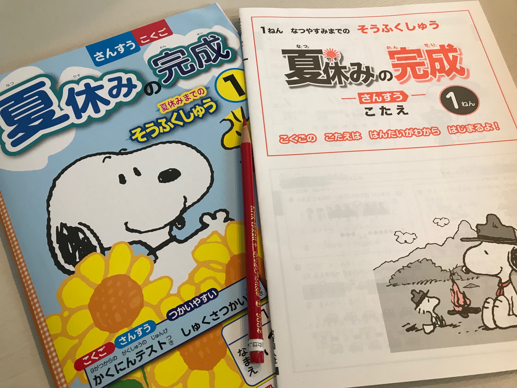 まだまだ始まったばかり