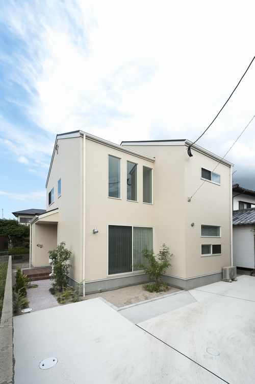 写真データが届きました