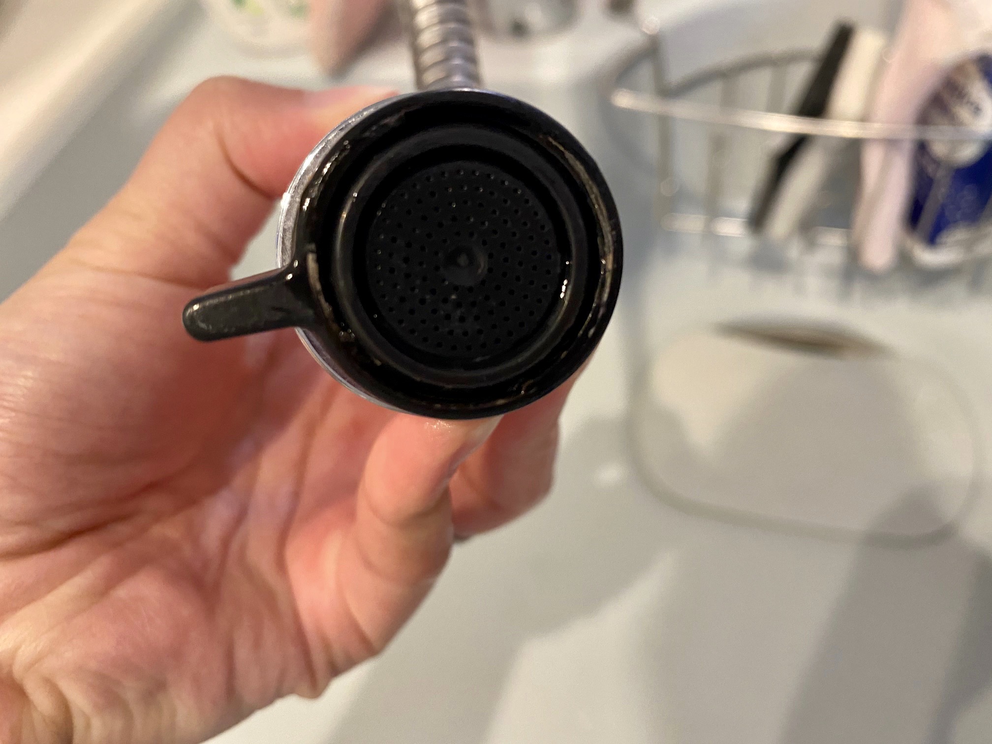 蛇口のお手入れ