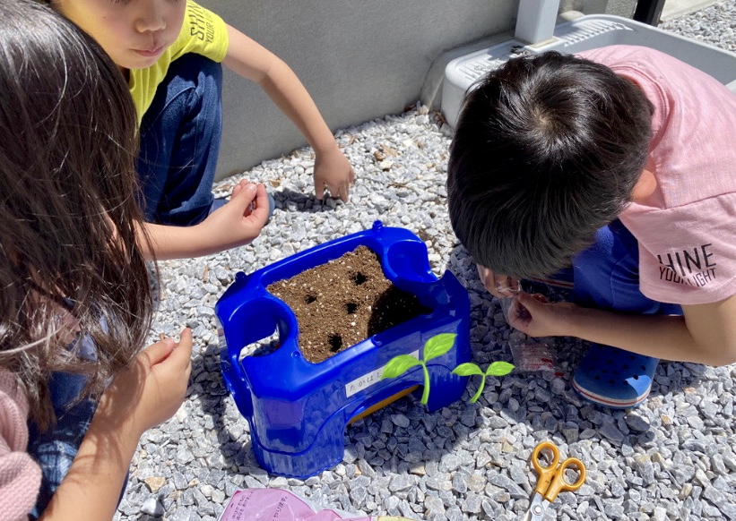 収束まで頑張ろう！