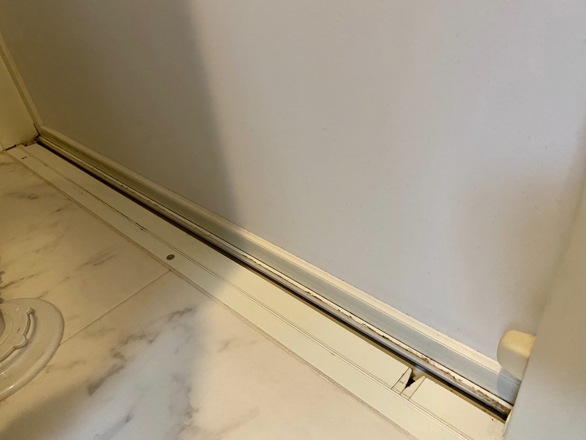 カビにご注意！