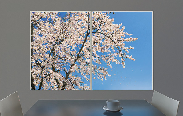 窓枠の収まり［粕屋町K様］