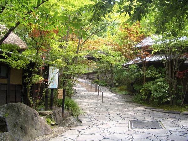 今年の夏の思い出　～後編～