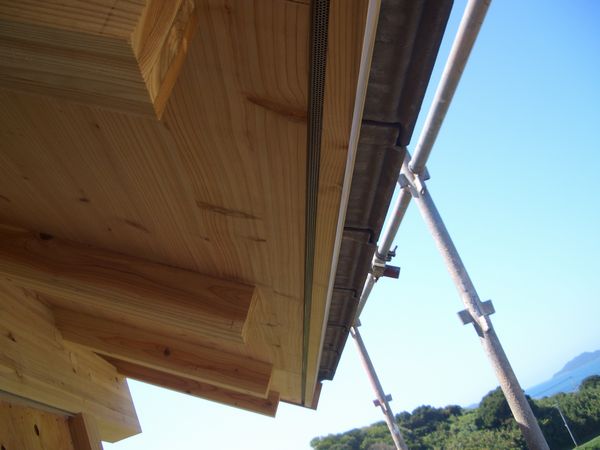 防虫網、あった方が良くないですか？