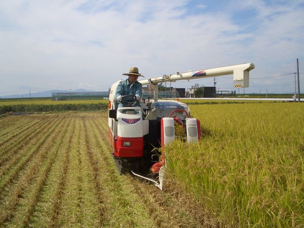 すこ～しだけ農業に触れました。