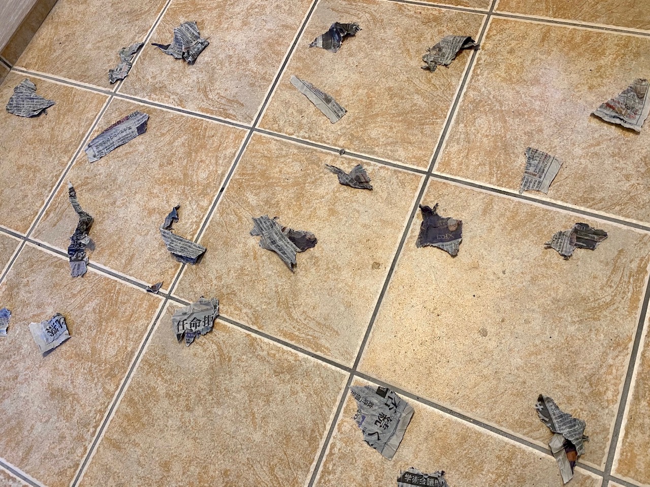 玄関先で花粉を撃退