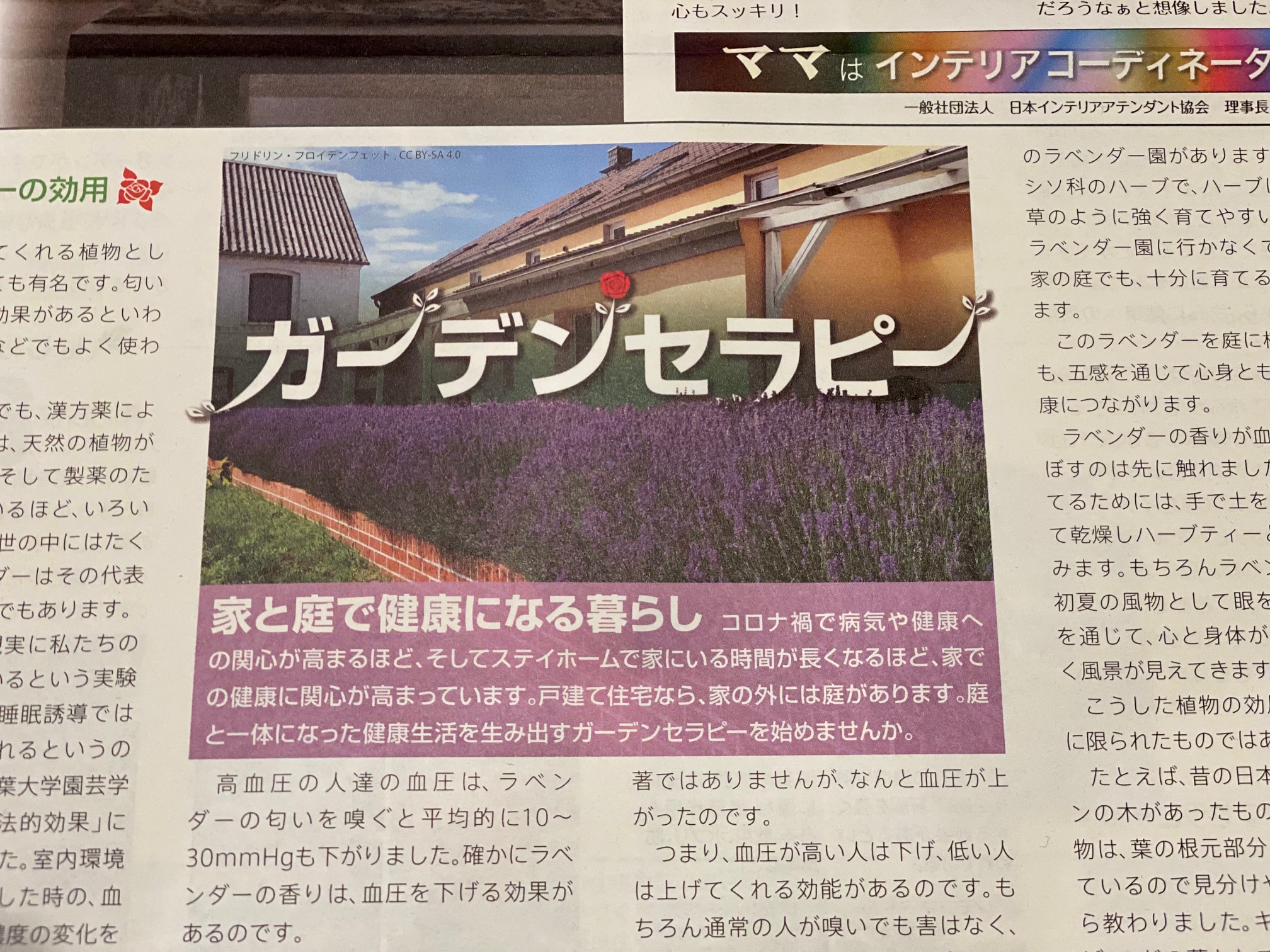 おうちのはなし Vol.230