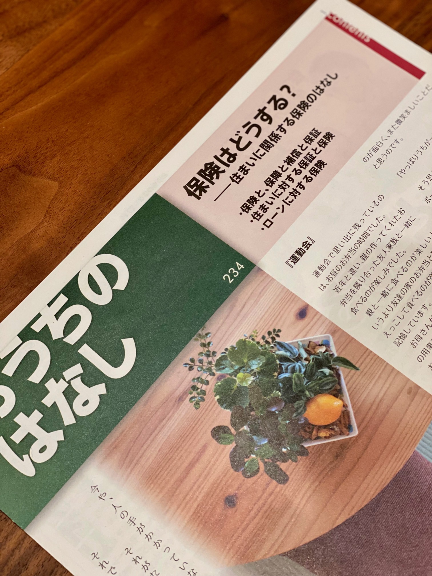 おうちのはなし Vol.234