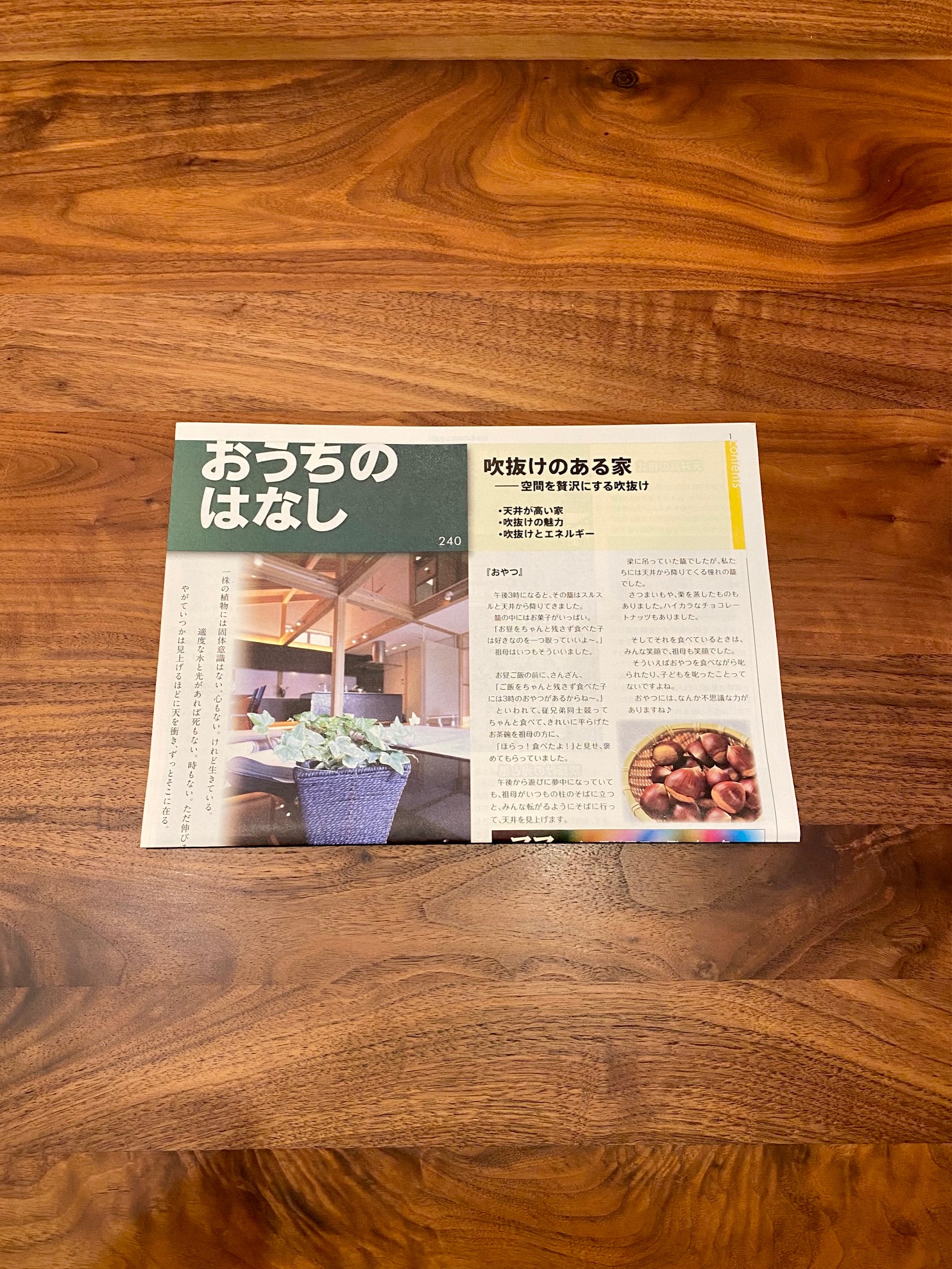 おうちのはなし Vol.240